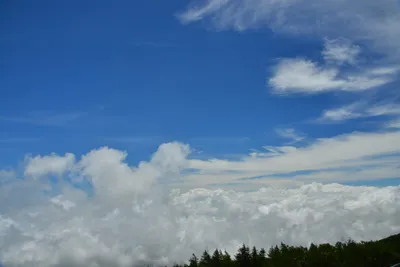 DSC_3640 (Large).JPG